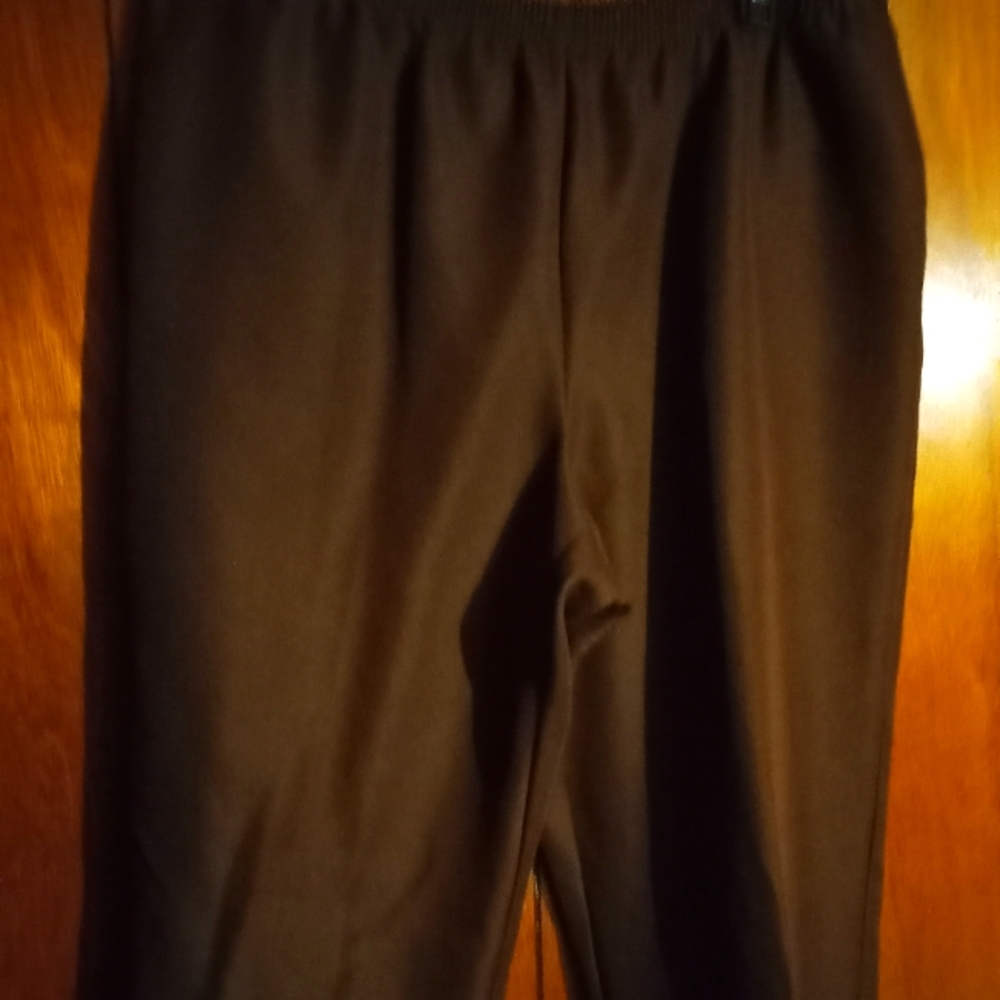 ALFRED DUNNER BROWN STRETCH PANTS SIZE 22W